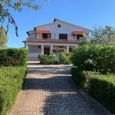 Villa Conti Residence Lacona Exteriör bild